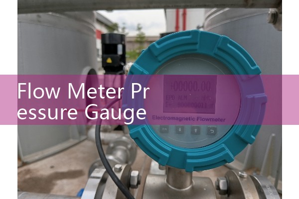 Flow Meter Pressure Gauge Combos: Dual-Parameter Monitoring Skids for Hydraulic Circuits